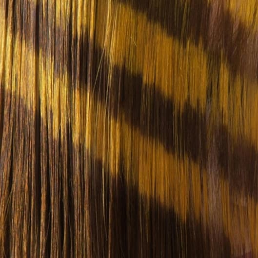 Signature Root Package at Virtuoso Hair Studio in Gilbert, AZ